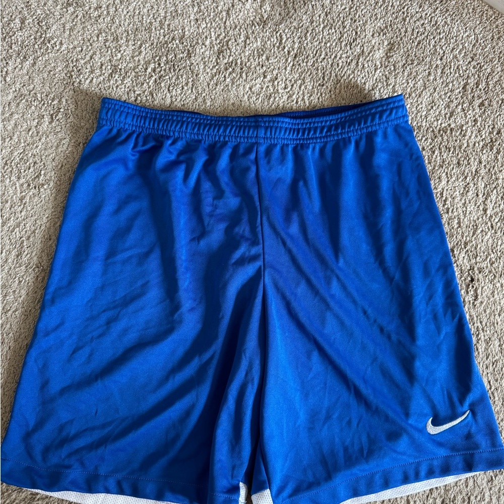 Nike Blue Athletic Shorts with Elastic Waistband